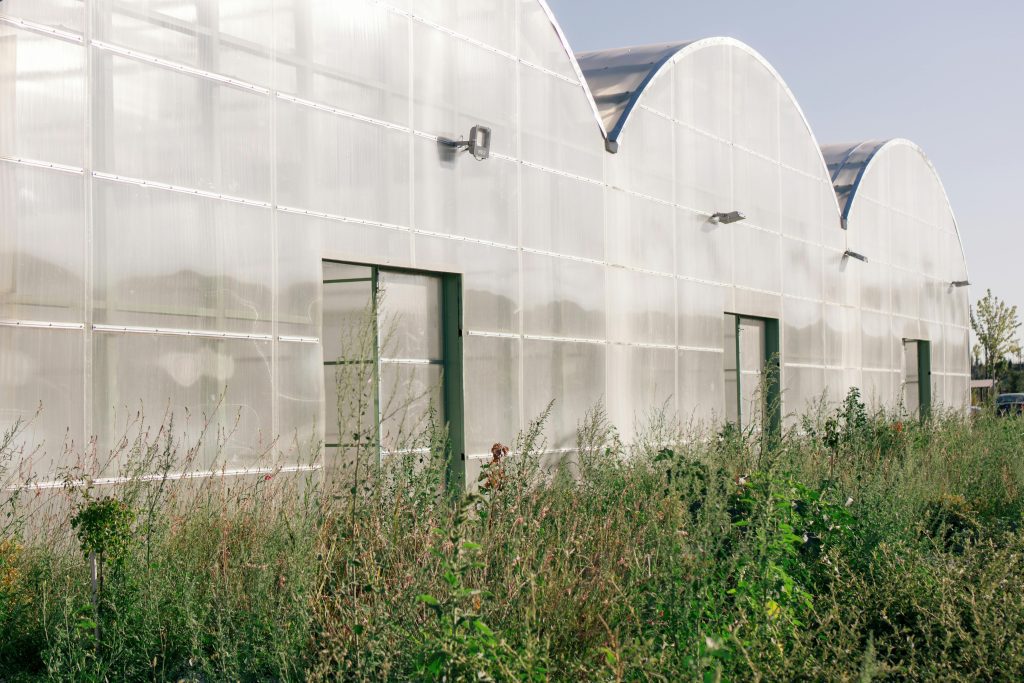 Climate Health Africa